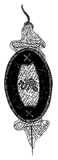 STOCKTON CUSTOM trademark