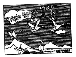 TRIPLE GOOSE DOWN U.S.A. trademark