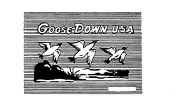 GOOSE DOWN USA trademark