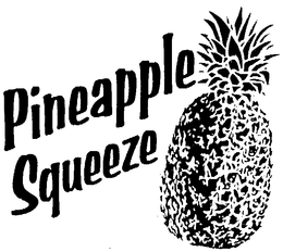 PINEAPPLE SQUEEZE trademark