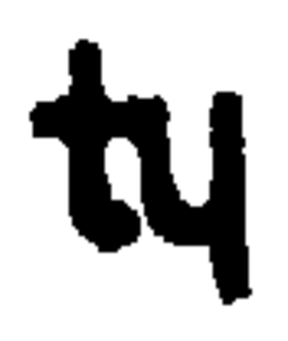 TY trademark