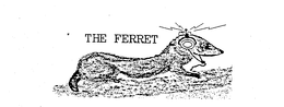 THE FERRET trademark