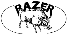 RAZER trademark