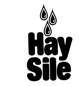 HAY SILE trademark