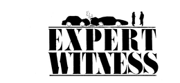 EXPERT WITNESS trademark