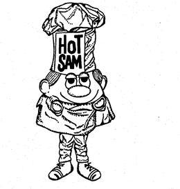 HOT SAM trademark