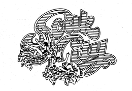 SOAK CITY trademark