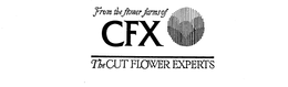 FROM THE FLOWER FARMS OF CFX THE CUT FLOWER EXPERTS trademark