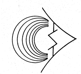 DSC trademark