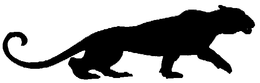 SUPERCAT trademark