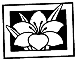 ALICIA KARPATI trademark