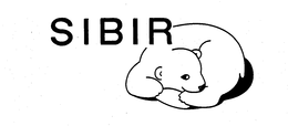 SIBIR trademark