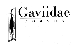 GAVIIDAE COMMON trademark