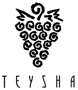 TEYSHA trademark