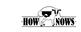 HOW NOWS trademark