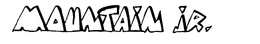 MOUNTAIN JR. trademark
