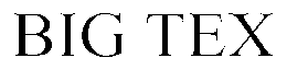BIG TEX trademark