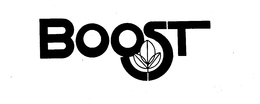 BOOST trademark