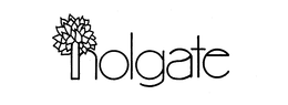 HOLGATE trademark