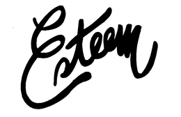 ESTEEM trademark