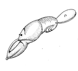 LogoMark trademark