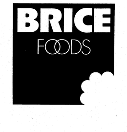 BRICE FOODS trademark