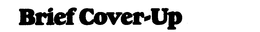 BRIEF COVER-UP trademark