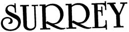 SURREY trademark