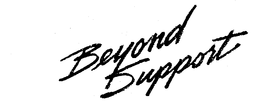 BEYOND SUPPORT trademark