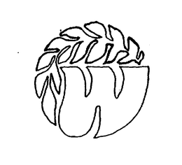 W trademark