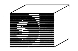 DI trademark