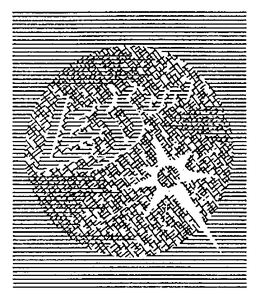 LESSUN trademark