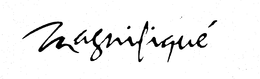 MAGNIFIQUE trademark