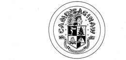 CAMP SAGINAW BOYS HEALTH SPORTSMANSHIP CHARACTER GIRLS trademark