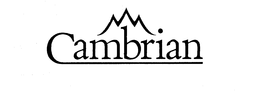 CAMBRIAN trademark