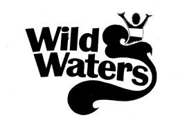 WILD WATERS trademark