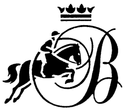 B trademark