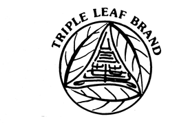 TRIPLE LEAF BRAND trademark