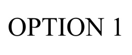 OPTION 1 trademark