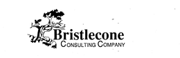 BRISTLECONE CONSULTING COMPANY trademark