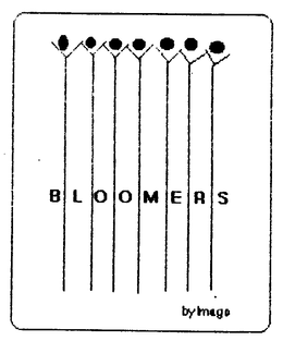 BLOOMERS trademark