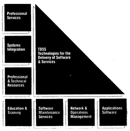 TDSS TECHNOLOGIES FOR THE DELIVERY OF SOFTWARE & SERVICES trademark
