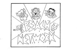 BEACH NETWORK trademark
