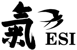 ESI trademark