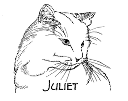 JULIET trademark