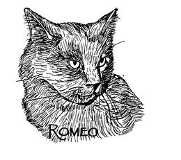 ROMEO trademark