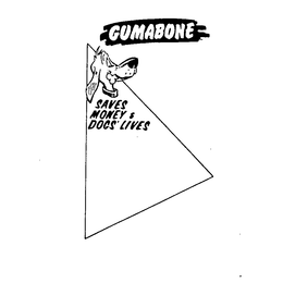 GUMABONE SAVES MONEY & DOGS' LIVES trademark