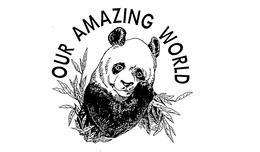 OUR AMAZING WORLD trademark