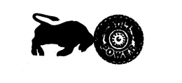BULL POWER trademark