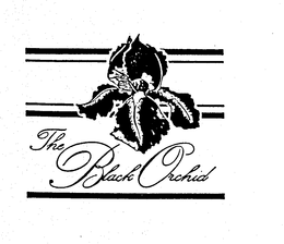 THE BLACK ORCHID trademark